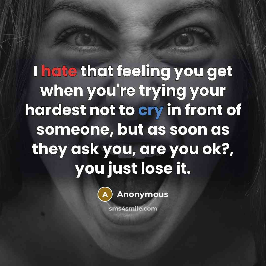“I hate that feeling you get when you're trying your hardest not to cry in front of someone, but as soon as they ask you, are you ok?, you just lose it.” quote by Anonymous