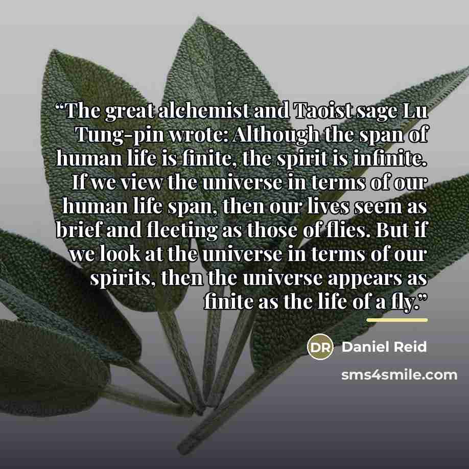 “The great alchemist and Taoist sage Lu Tung-pin wrote: Although the span of human life is finite, the spirit is infinite. If we view the universe in terms of our human life span, then our lives seem as brief and fleeting as those of flies. But if we look at the universe in terms of our spirits…” quote by Daniel Reid