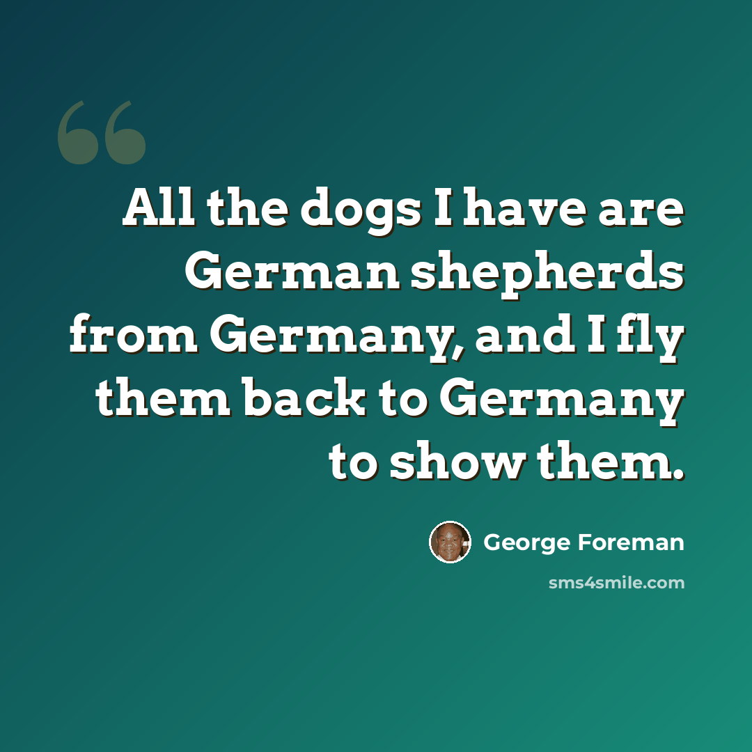 “All the dogs I have are German shepherds from Germany, and I fly them back to Germany to show them.” quote by George Foreman