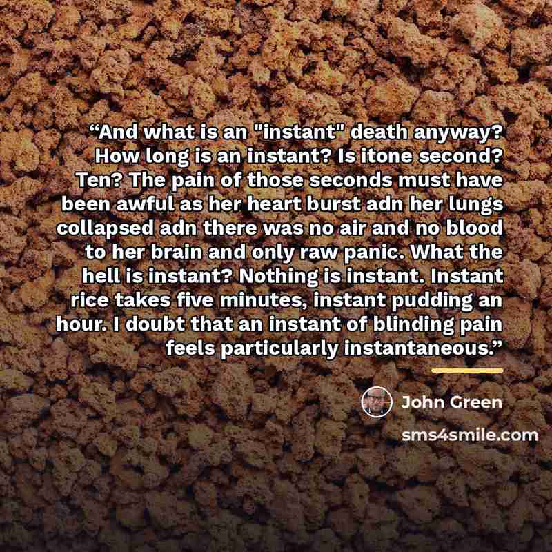 “And what is an "instant" death anyway? How long is an instant? Is itone second? Ten? The pain of those seconds must have been awful as her heart burst adn her lungs collapsed adn there was no air and no blood to her brain and only raw panic. What the hell is instant? Nothing is instant. Instant…” quote by John Green
