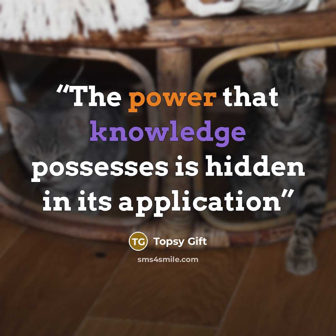 “The power that knowledge possesses is hidden in its application” quote by Topsy Gift