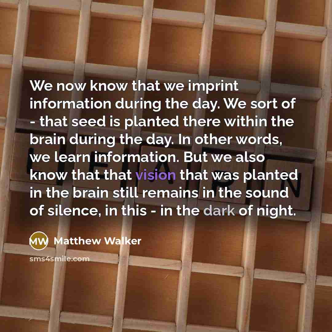 “We now know that we imprint information during the day. We sort of - that seed is planted there within the brain during the day. In other words, we learn information. But we also know that that vision that was planted in the brain still remains in the sound of silence, in this - in the dark of…” quote by Matthew Walker