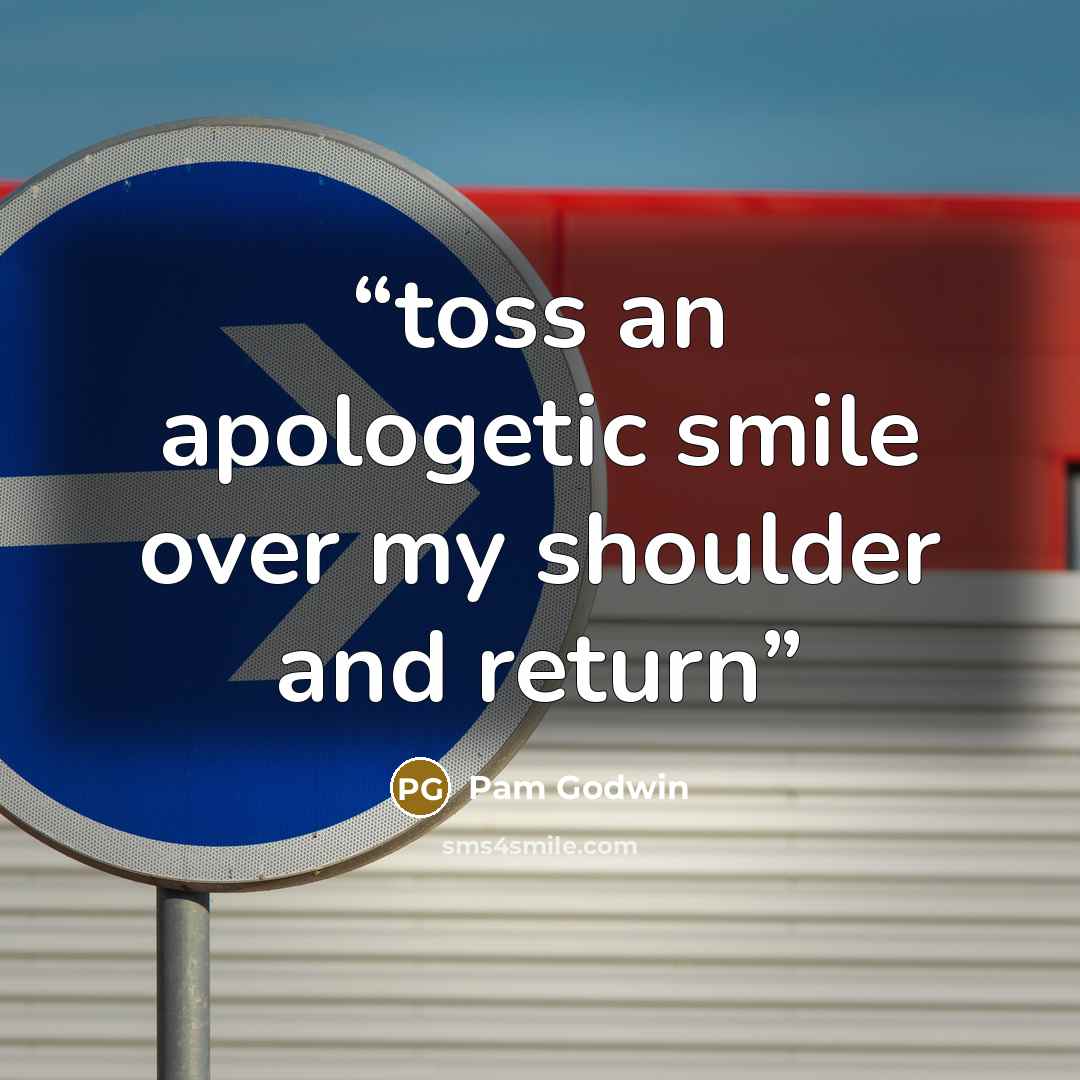 “toss an apologetic smile over my shoulder and return” quote by Pam Godwin