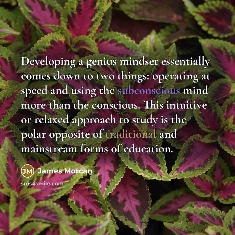 “Developing a genius mindset essentially comes down to two things: operating at speed and using the subconscious mind more than the conscious. This intuitive or relaxed approach to study is the polar opposite of traditional and mainstream forms of education.” quote by James Morcan