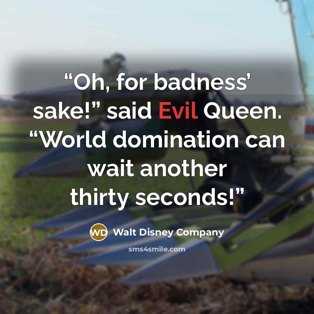 “Oh, for badness’ sake!” said Evil Queen. “World domination can wait another thirty seconds!” quote by Walt Disney Company