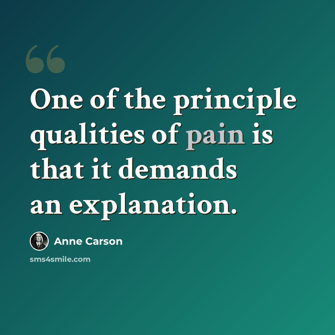 “One of the principle qualities of pain is that it demands an explanation.” quote by Anne Carson