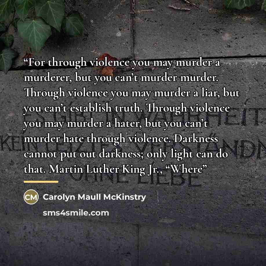 “For through violence you may murder a murderer, but you can’t murder murder. Through violence you may murder a liar, but you can’t establish truth. Through violence you may murder a hater, but you can’t murder hate through violence. Darkness cannot put out darkness; only light can do that. Martin…” quote by Carolyn Maull McKinstry