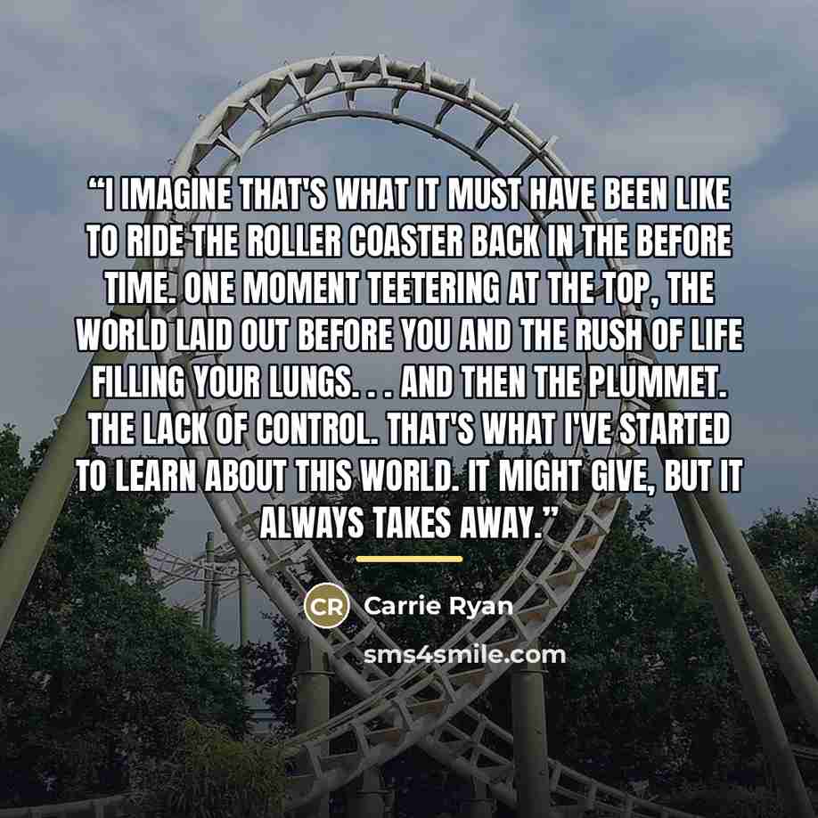 “I imagine that's what it must have been like to ride the roller coaster back in the before time. One moment teetering at the top, the world laid out before you and the rush of life filling your lungs. . . and then the plummet. The lack of control. That's what I've started to learn about this…” quote by Carrie Ryan