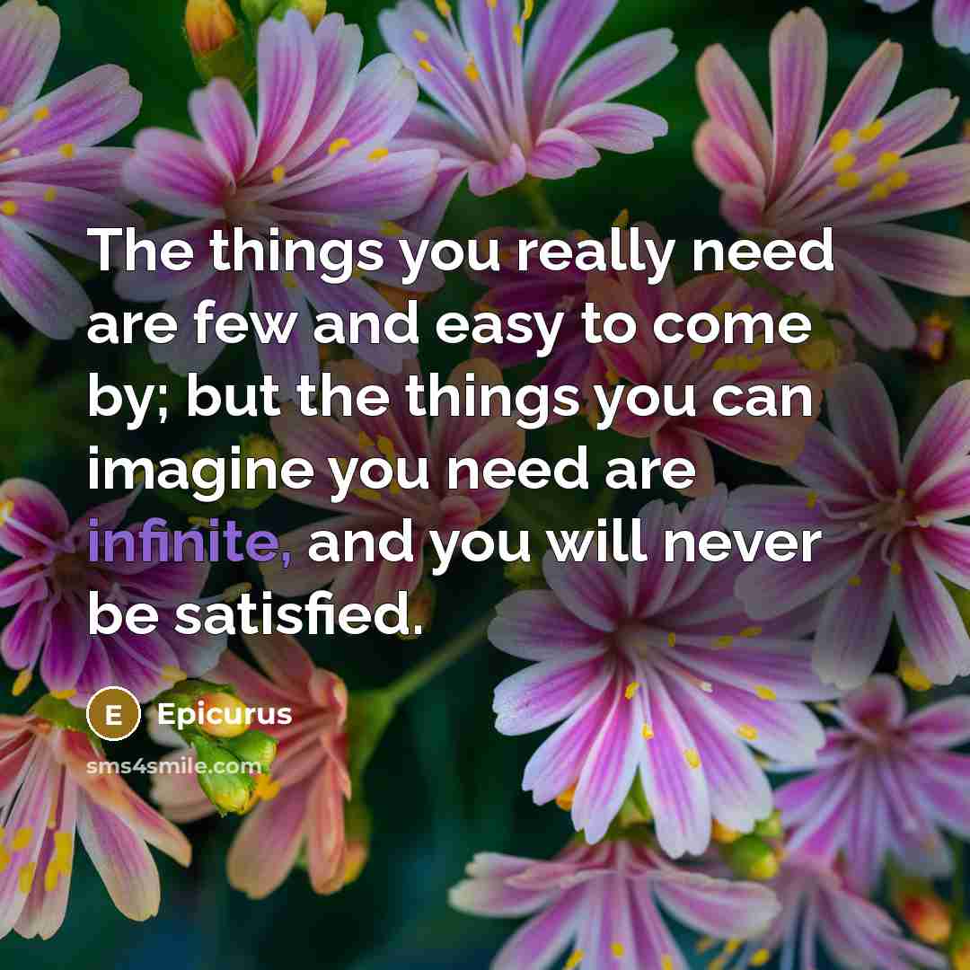 “The things you really need are few and easy to come by; but the things you can imagine you need are infinite, and you will never be satisfied.” quote by Epicurus