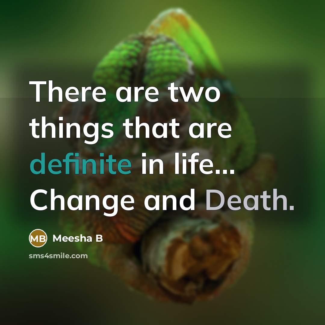 “There are two things that are definite in life... Change and Death.” quote by Meesha B