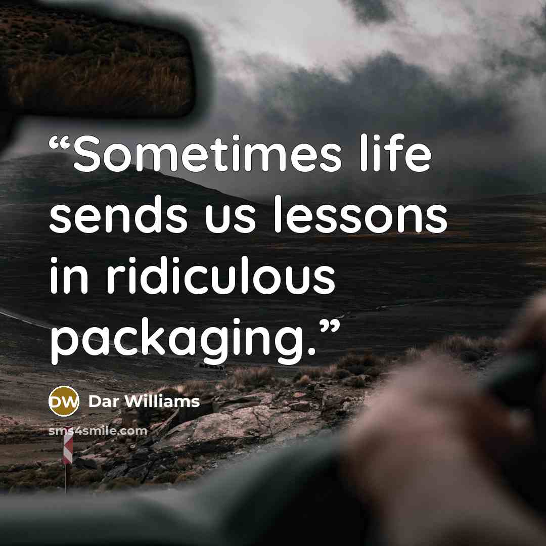 “Sometimes life sends us lessons in ridiculous packaging.” quote by Dar Williams