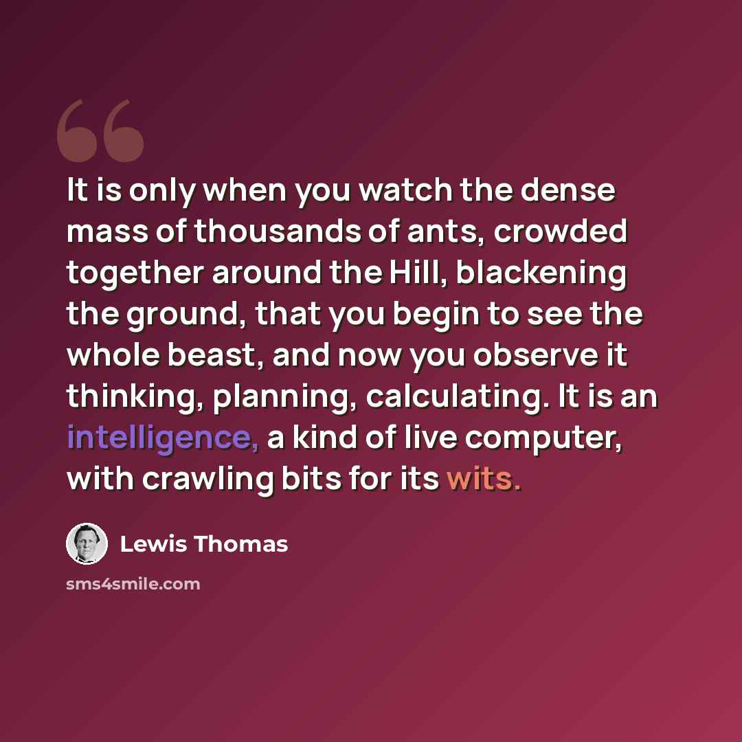 “It is only when you watch the dense mass of thousands of ants, crowded together around the Hill, blackening the ground, that you begin to see the whole beast, and now you observe it thinking, planning, calculating. It is an intelligence, a kind of live computer, with crawling bits for its wits.” quote by Lewis Thomas