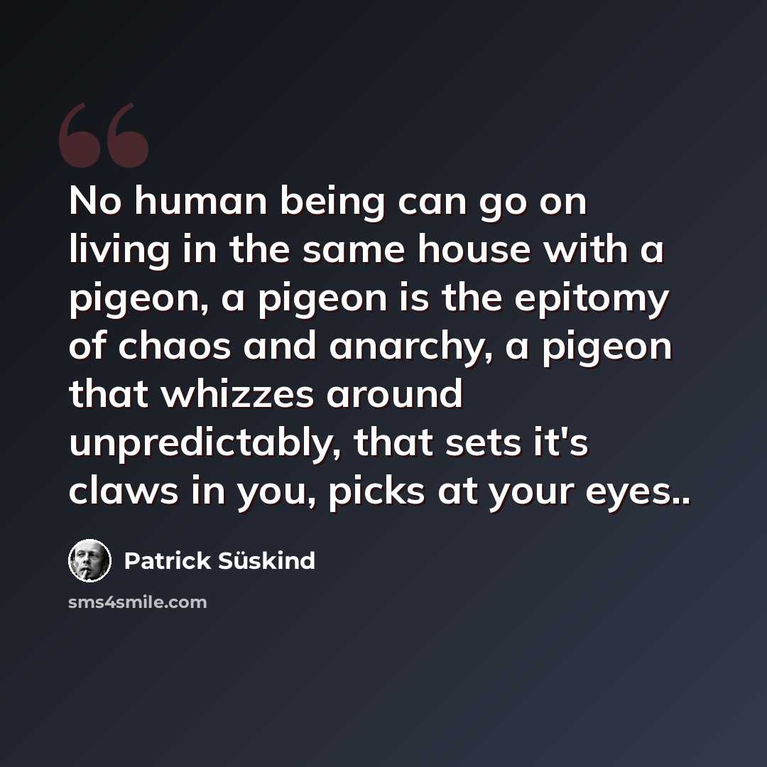“No human being can go on living in the same house with a pigeon, a pigeon is the epitomy of chaos and anarchy, a pigeon that whizzes around unpredictably, that sets it's claws in you, picks at your eyes..” quote by Patrick Süskind
