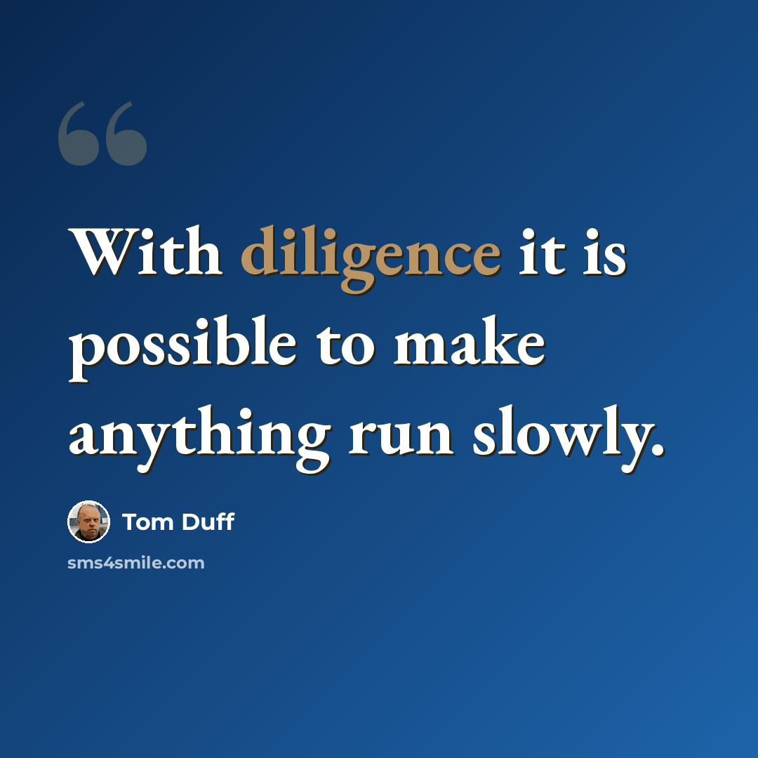 “With diligence it is possible to make anything run slowly.” quote by Tom Duff