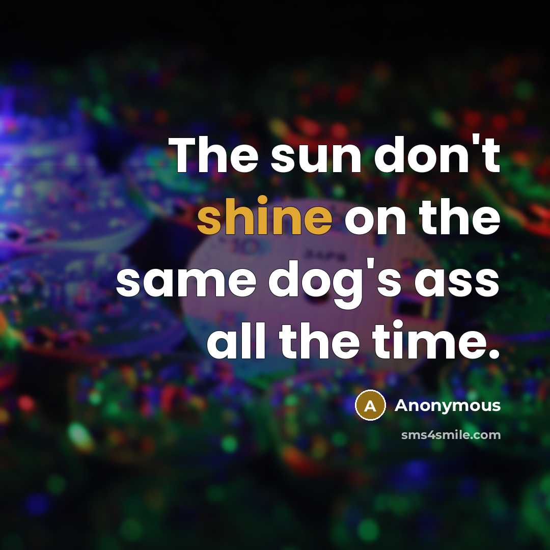 “The sun don't shine on the same dog's ass all the time.” quote by Anonymous