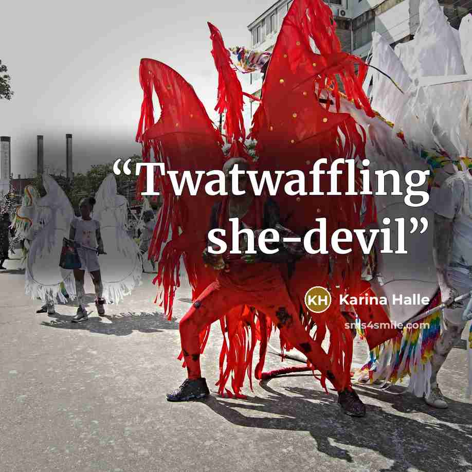 “Twatwaffling she-devil” quote by Karina Halle