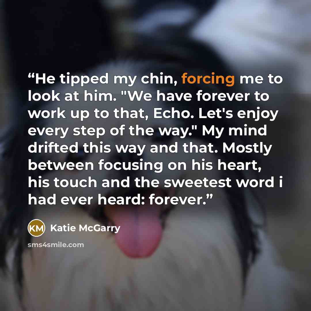 “He tipped my chin, forcing me to look at him. "We have forever to work up to that, Echo. Let's enjoy every step of the way." My mind drifted this way and that. Mostly between focusing on his heart, his touch and the sweetest word i had ever heard: forever.” quote by Katie McGarry