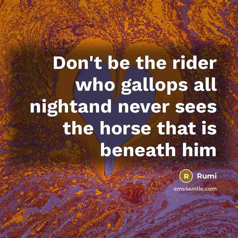 “Don't be the rider who gallops all nightand never sees the horse that is beneath him” quote by Rumi