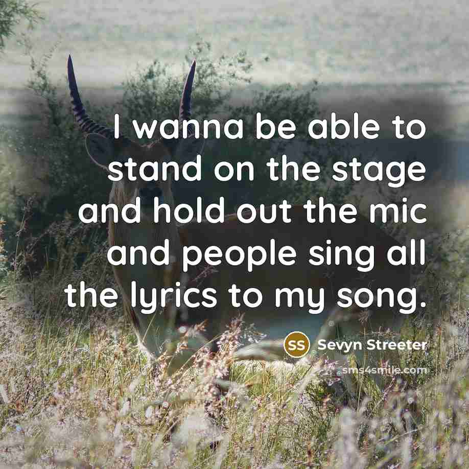 “I wanna be able to stand on the stage and hold out the mic and people sing all the lyrics to my song.” quote by Sevyn Streeter