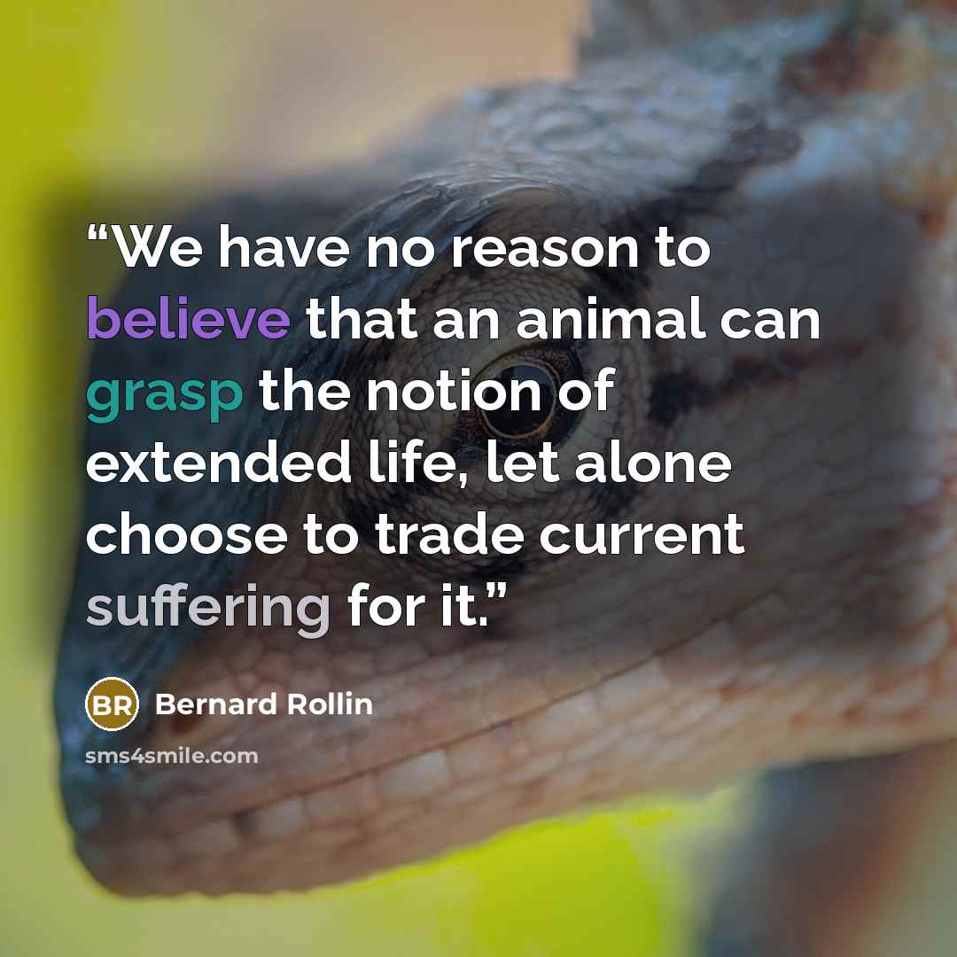 “We have no reason to believe that an animal can grasp the notion of extended life, let alone choose to trade current suffering for it.” quote by Bernard Rollin