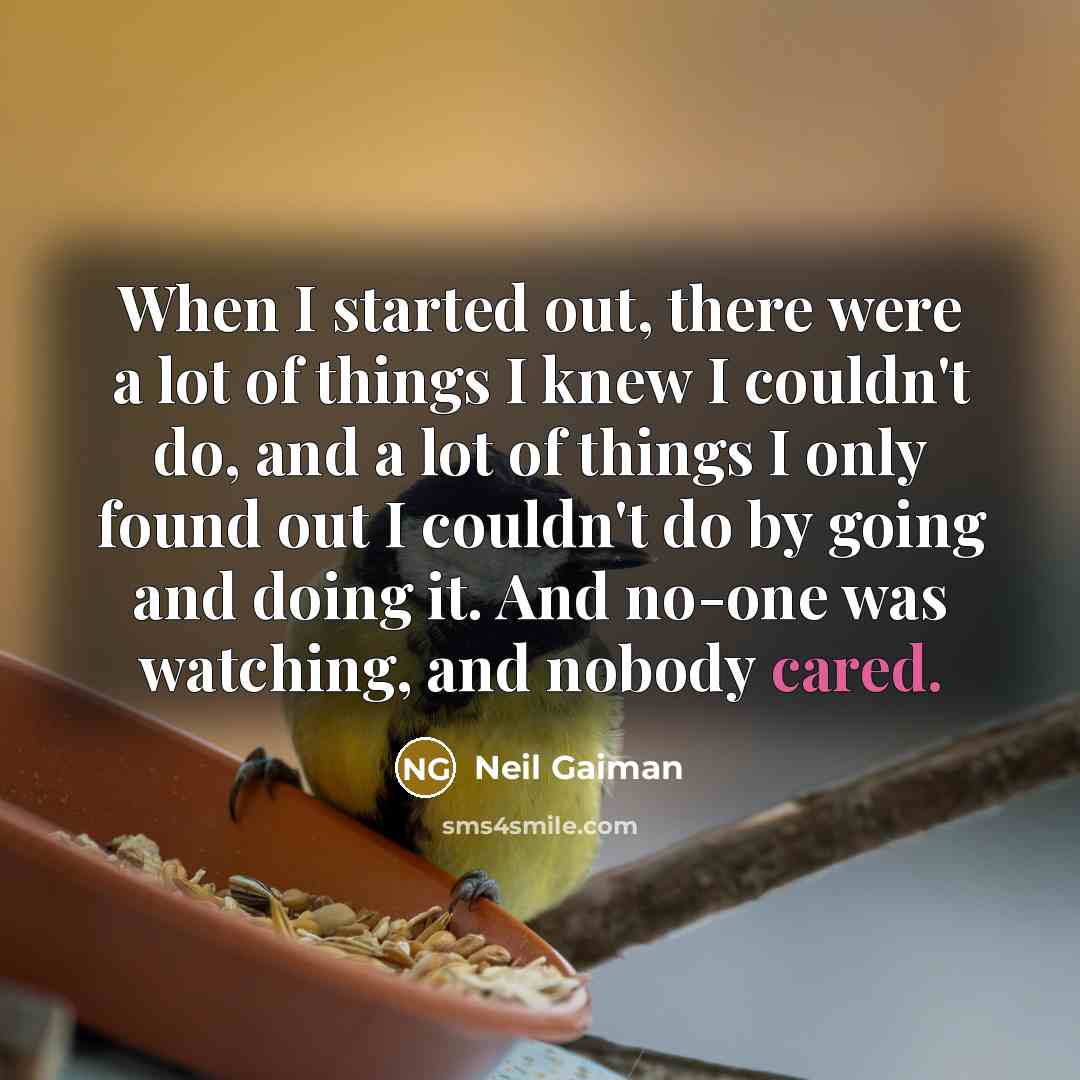 “When I started out, there were a lot of things I knew I couldn't do, and a lot of things I only found out I couldn't do by going and doing it. And no-one was watching, and nobody cared.” quote by Neil Gaiman