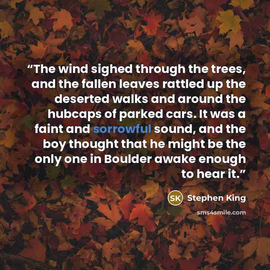 “The wind sighed through the trees, and the fallen leaves rattled up the deserted walks and around the hubcaps of parked cars. It was a faint and sorrowful sound, and the boy thought that he might be the only one in Boulder awake enough to hear it.” quote by Stephen King