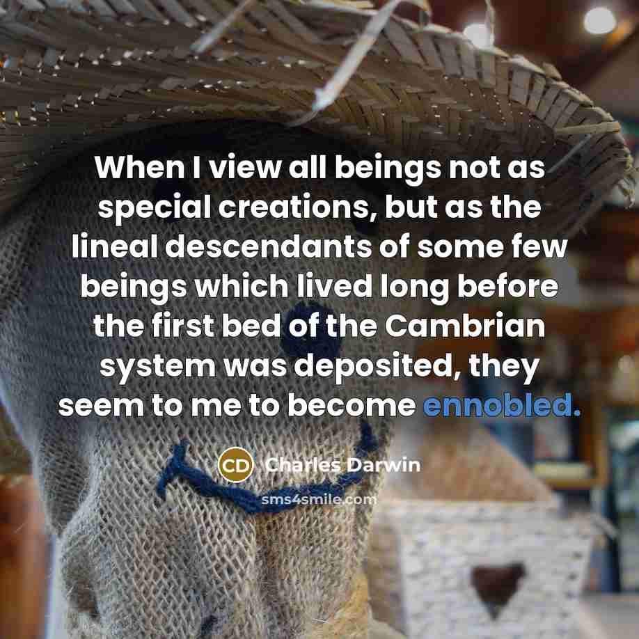 “When I view all beings not as special creations, but as the lineal descendants of some few beings which lived long before the first bed of the Cambrian system was deposited, they seem to me to become ennobled.” quote by Charles Darwin