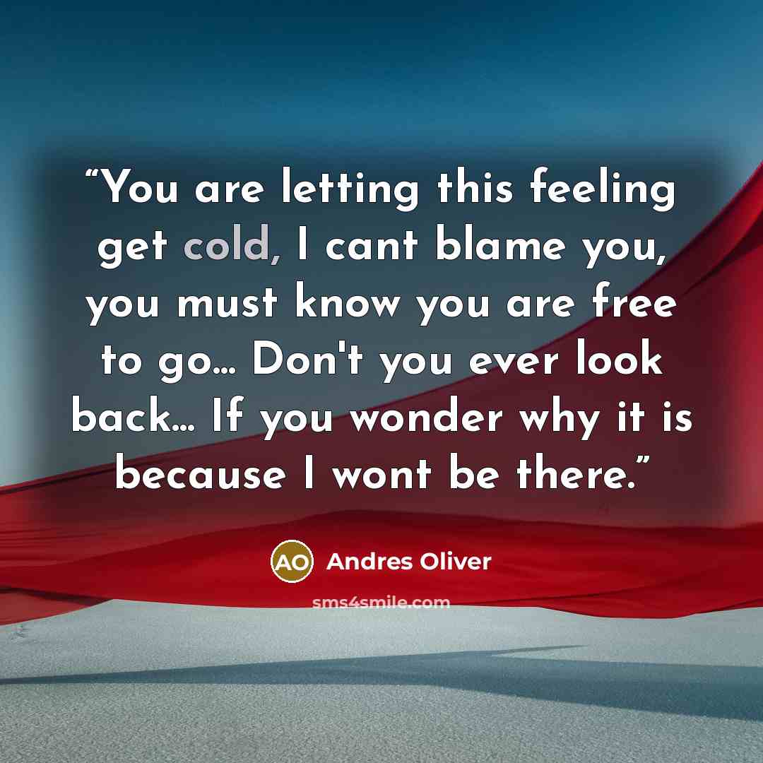 “You are letting this feeling get cold, I cant blame you, you must know you are free to go... Don't you ever look back... If you wonder why it is because I wont be there.” quote by Andres Oliver