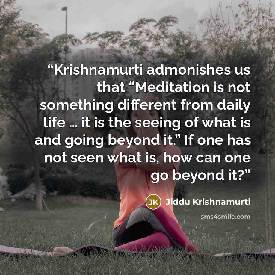 “Krishnamurti admonishes us that “Meditation is not something different from daily life … it is the seeing of what is and going beyond it.” If one has not seen what is, how can one go beyond it?” quote by Jiddu Krishnamurti