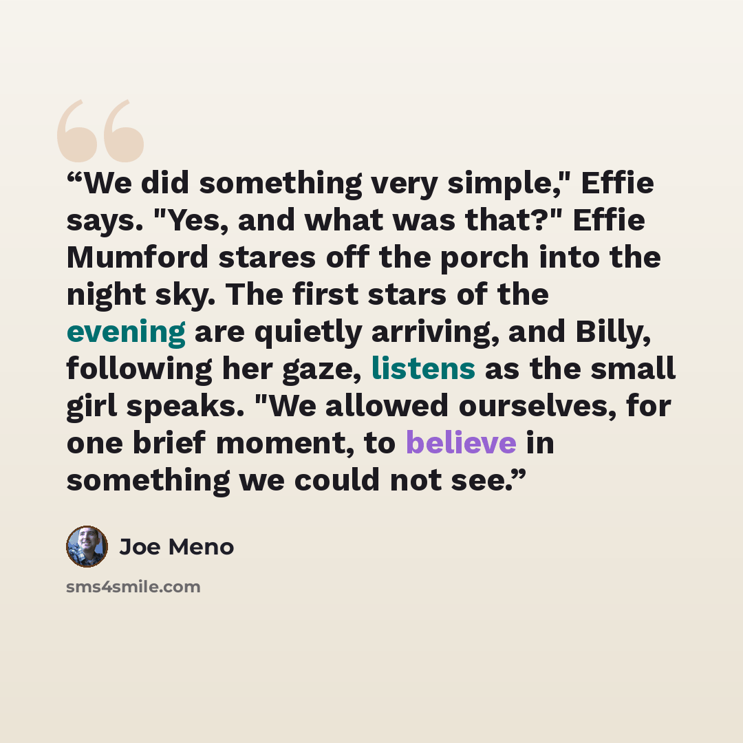 “We did something very simple," Effie says. "Yes, and what was that?" Effie Mumford stares off the porch into the night sky. The first stars of the evening are quietly arriving, and Billy, following her gaze, listens as the small girl speaks. "We allowed ourselves, for one brief moment, to believe…” quote by Joe Meno