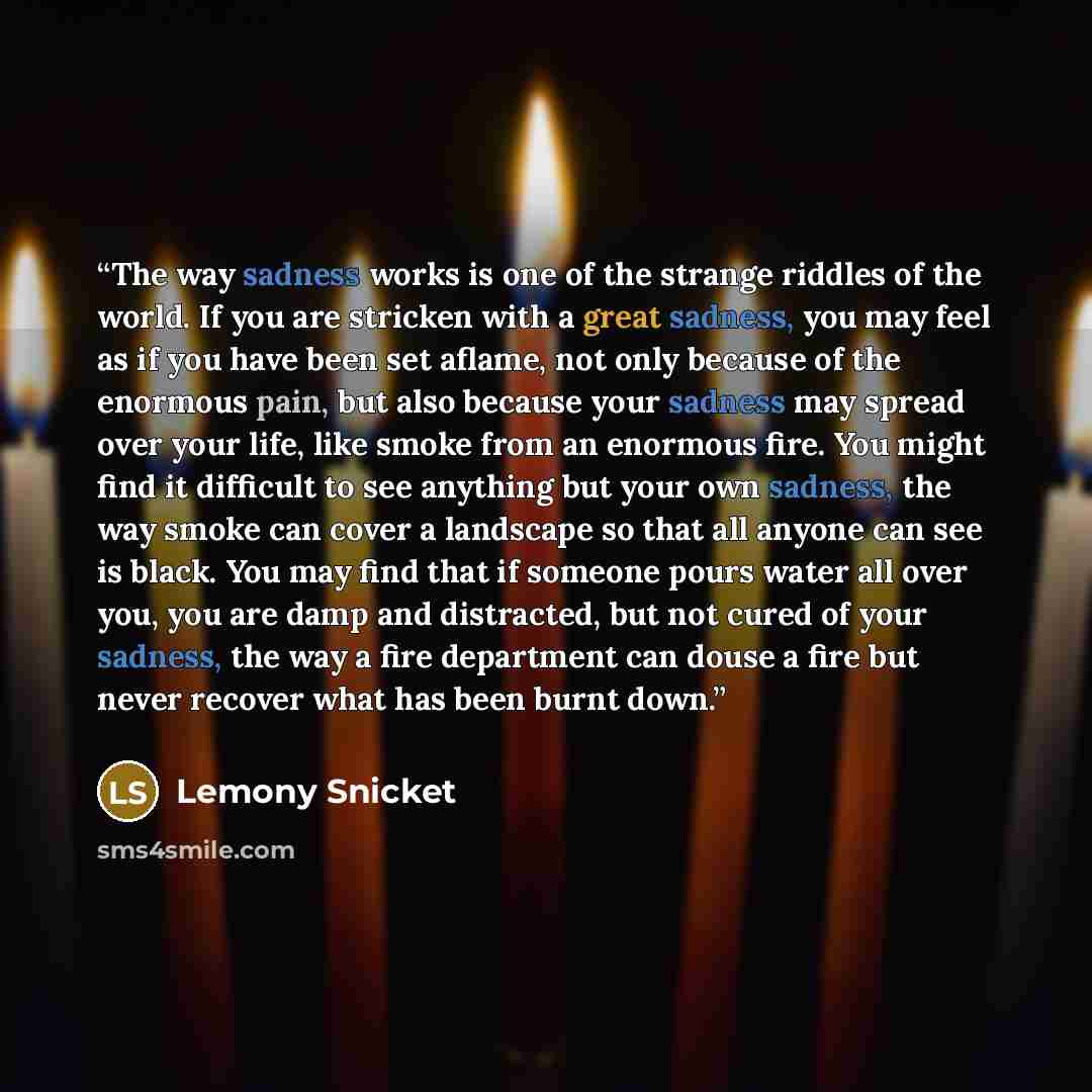 “The way sadness works is one of the strange riddles of the world. If you are stricken with a great sadness, you may feel as if you have been set aflame, not only because of the enormous pain, but also because your sadness may spread over your life, like smoke from an enormous fire. You might find…” quote by Lemony Snicket