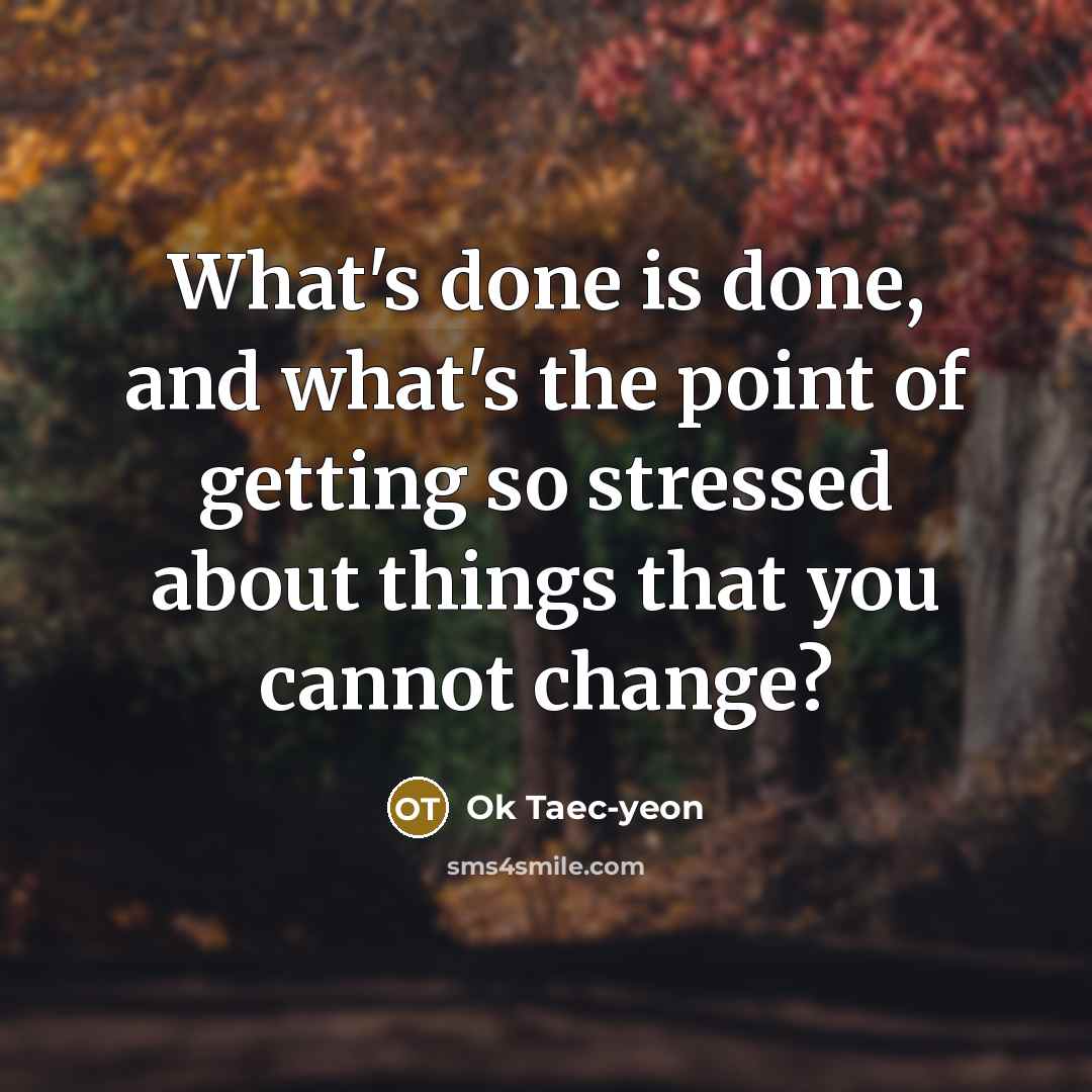 “What's done is done, and what's the point of getting so stressed about things that you cannot change?” quote by Ok Taec-yeon