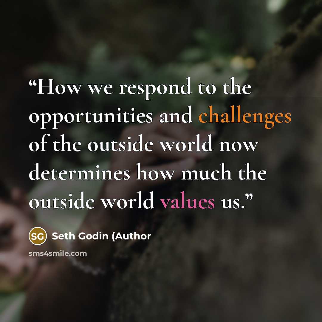“How we respond to the opportunities and challenges of the outside world now determines how much the outside world values us.” quote by Seth Godin (Author