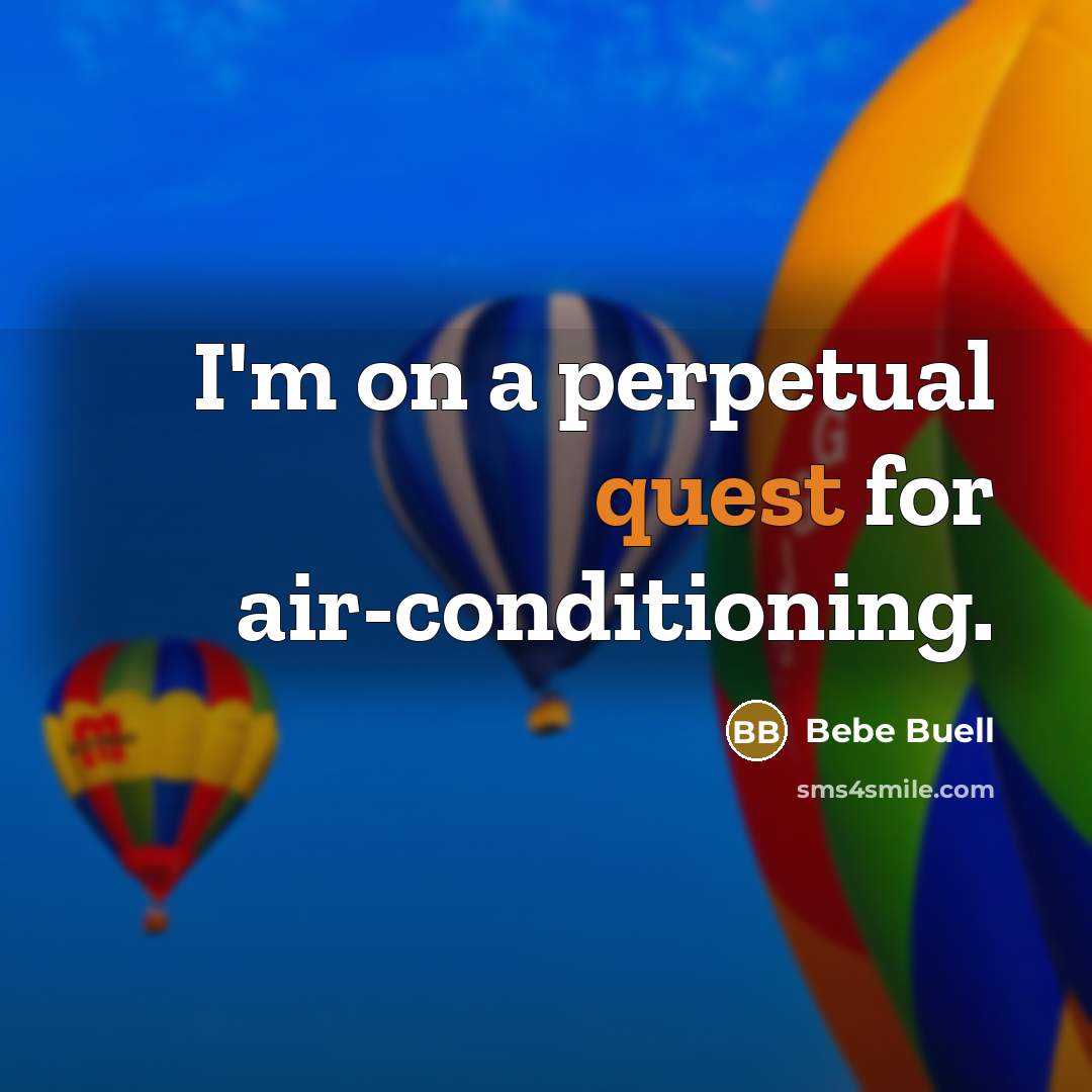 “I'm on a perpetual quest for air-conditioning.” quote by Bebe Buell