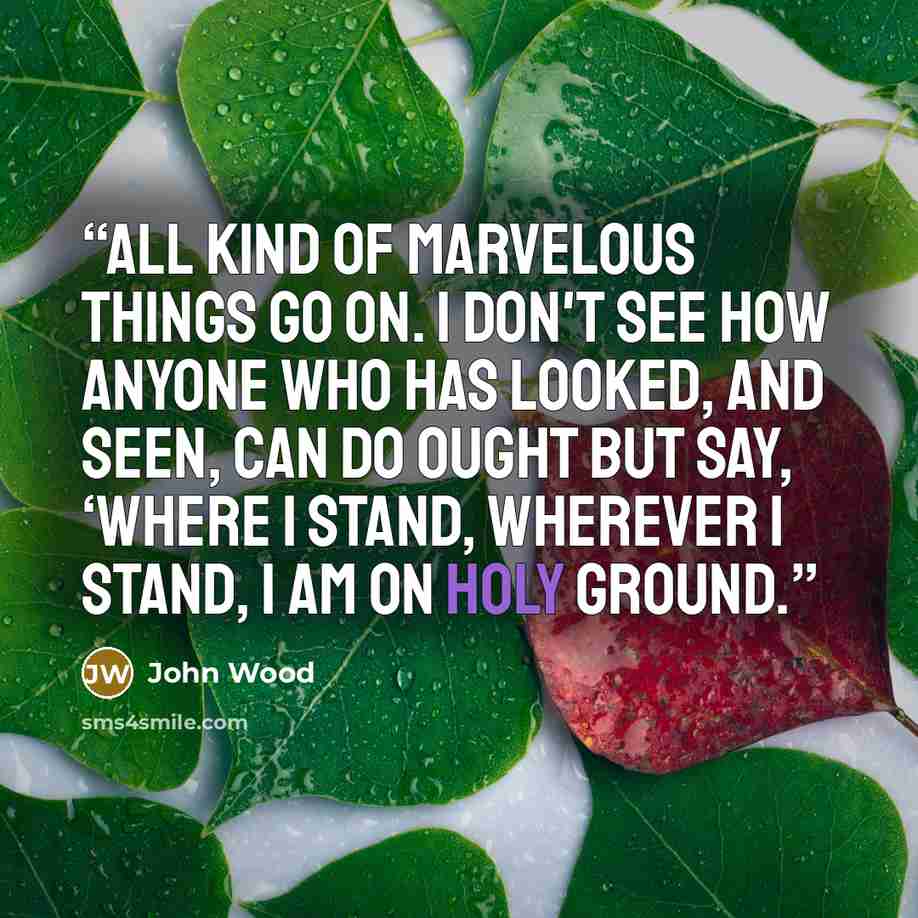 “All kind of marvelous things go on. I don't see how anyone who has looked, and seen, can do ought but say, ‘where I stand, wherever I stand, I am on holy ground.” quote by John Wood
