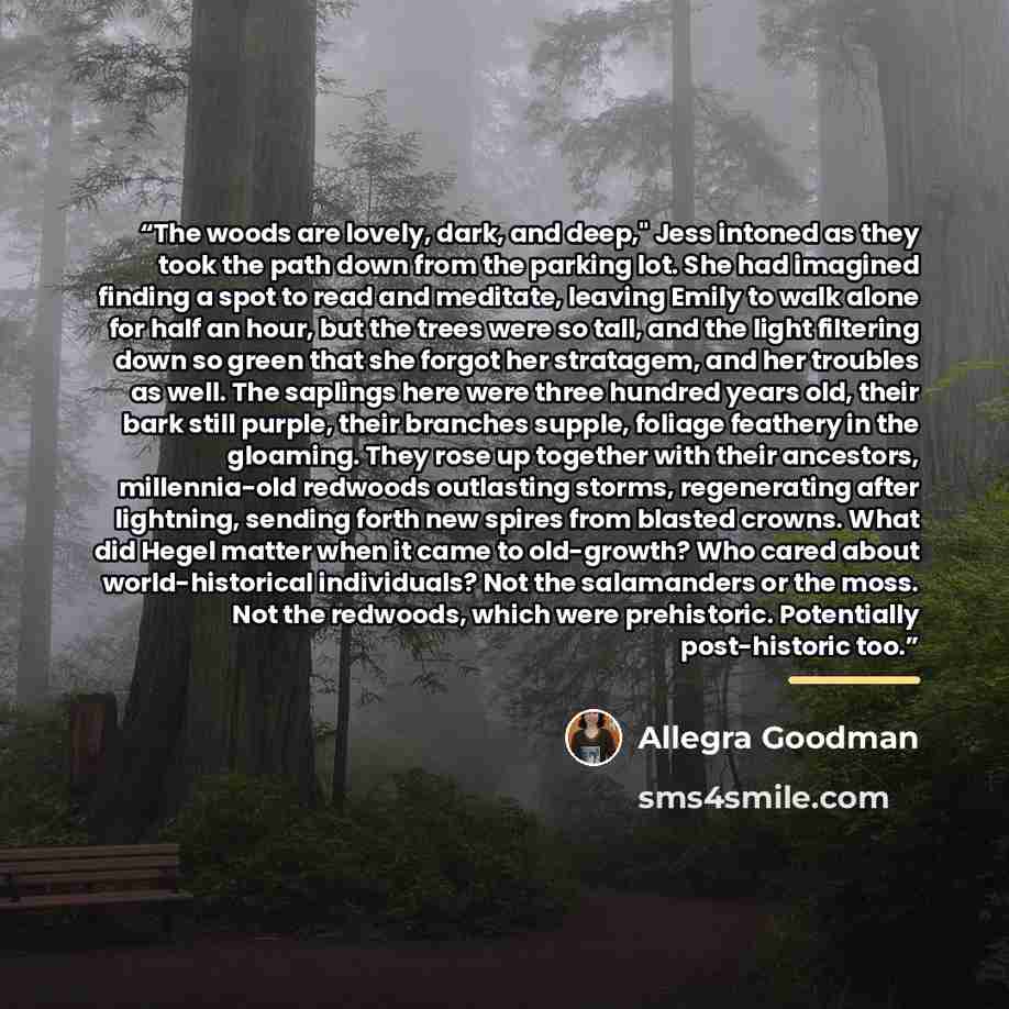 “The woods are lovely, dark, and deep," Jess intoned as they took the path down from the parking lot. She had imagined finding a spot to read and meditate, leaving Emily to walk alone for half an hour, but the trees were so tall, and the light filtering down so green that she forgot her stratagem…” quote by Allegra Goodman