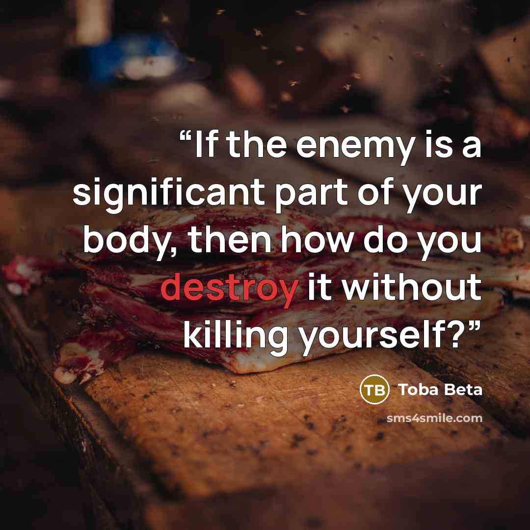 “If the enemy is a significant part of your body, then how do you destroy it without killing yourself?” quote by Toba Beta