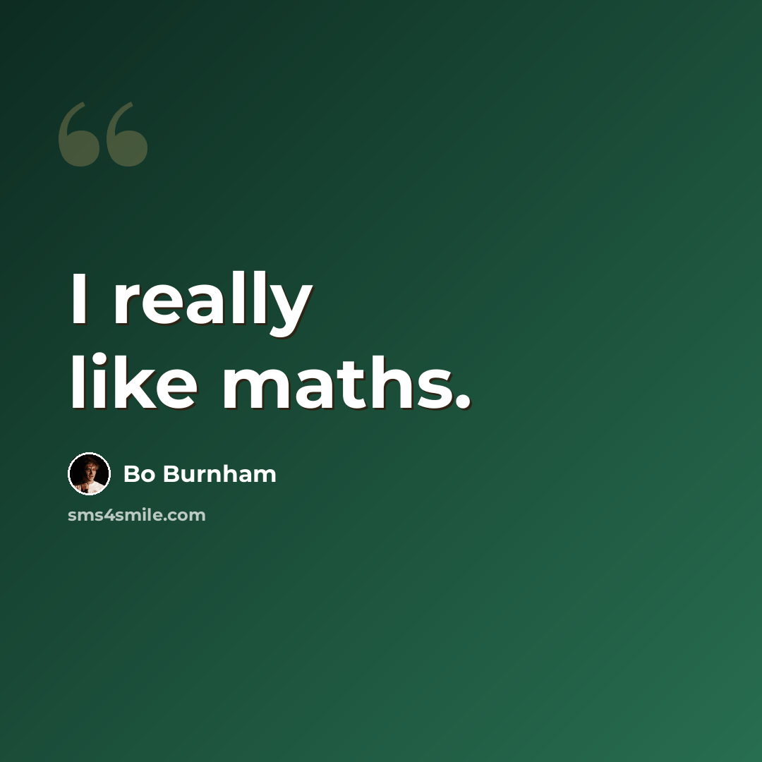 “I really like maths.” quote by Bo Burnham