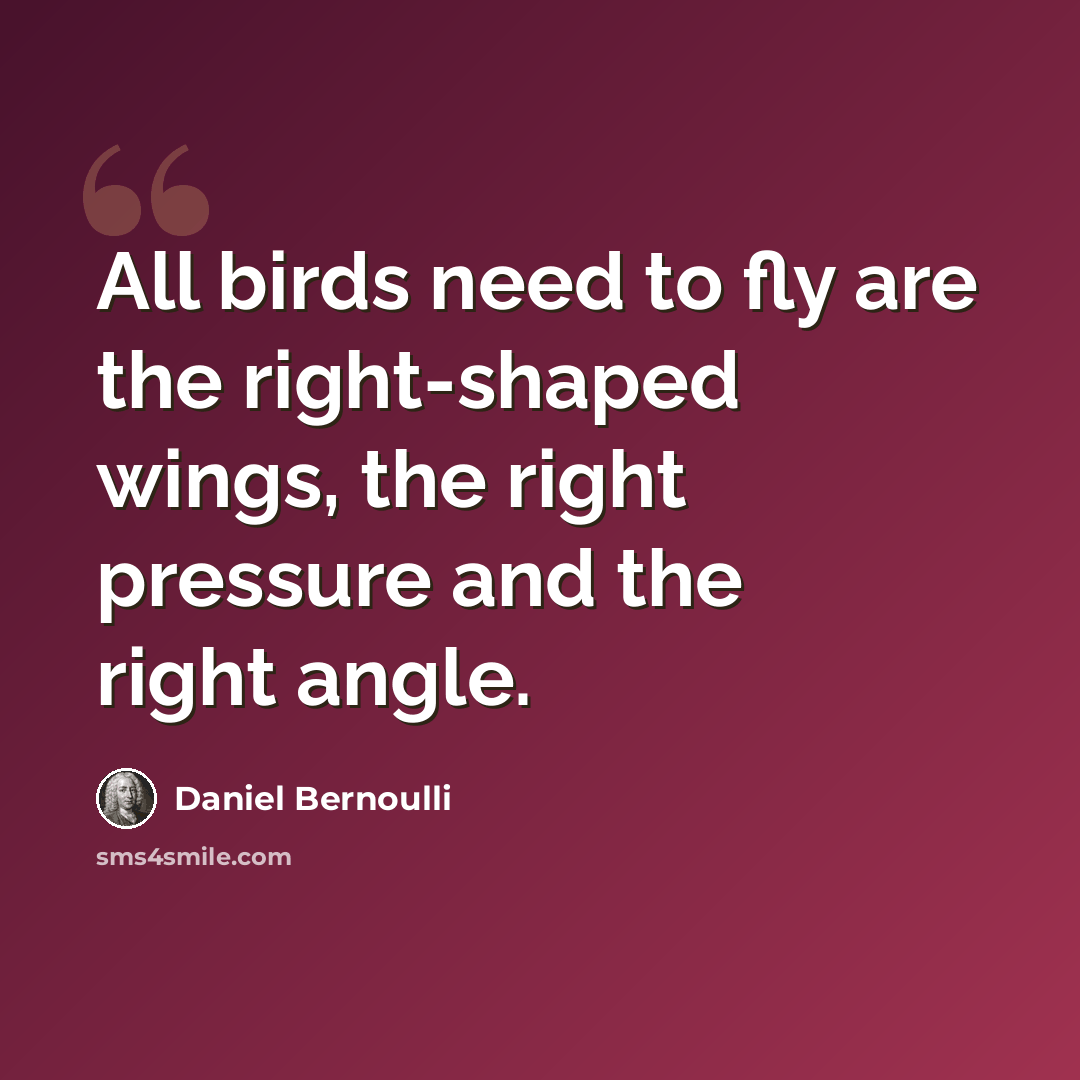 “All birds need to fly are the right-shaped wings, the right pressure and the right angle.” quote by Daniel Bernoulli