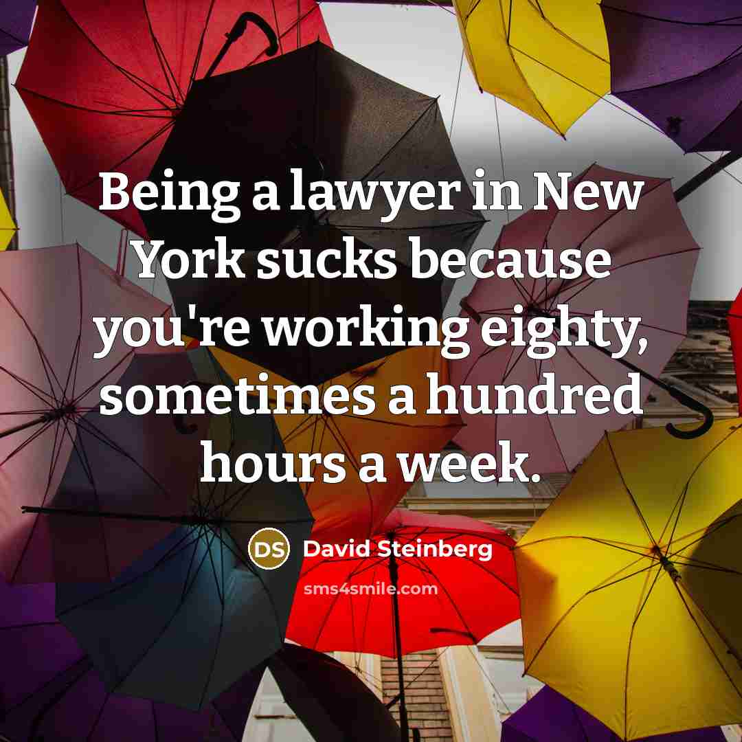 “Being a lawyer in New York sucks because you're working eighty, sometimes a hundred hours a week.” quote by David Steinberg