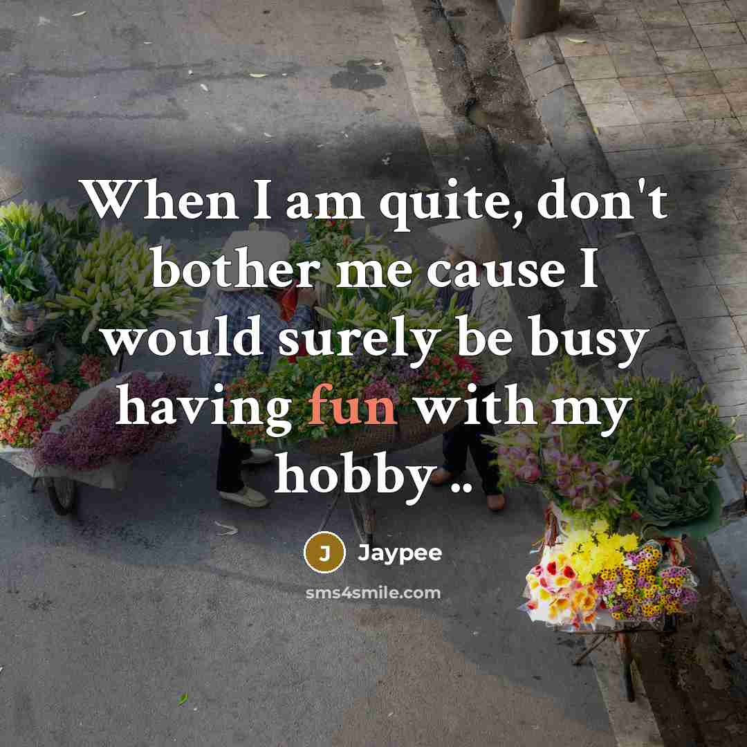 “When I am quite, don't bother me cause I would surely be busy having fun with my hobby ..” quote by Jaypee