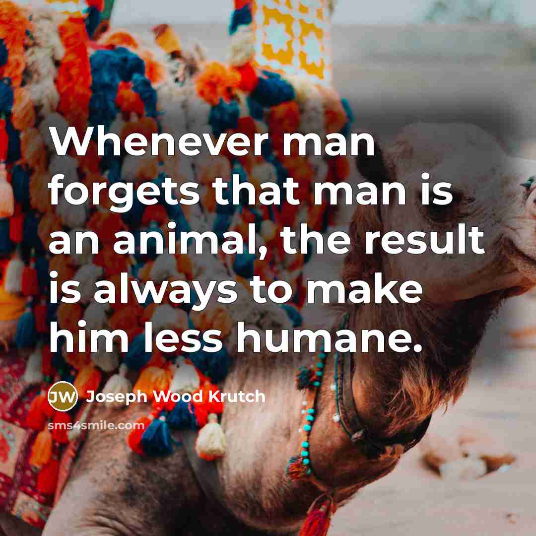 “Whenever man forgets that man is an animal, the result is always to make him less humane.” quote by Joseph Wood Krutch
