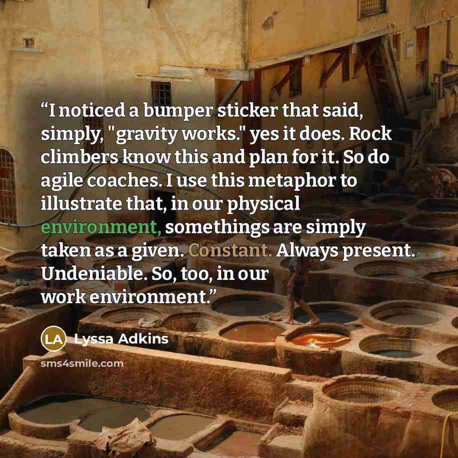 “I noticed a bumper sticker that said, simply, "gravity works." yes it does. Rock climbers know this and plan for it. So do agile coaches. I use this metaphor to illustrate that, in our physical environment, somethings are simply taken as a given. Constant. Always present. Undeniable. So, too, in…” quote by Lyssa Adkins