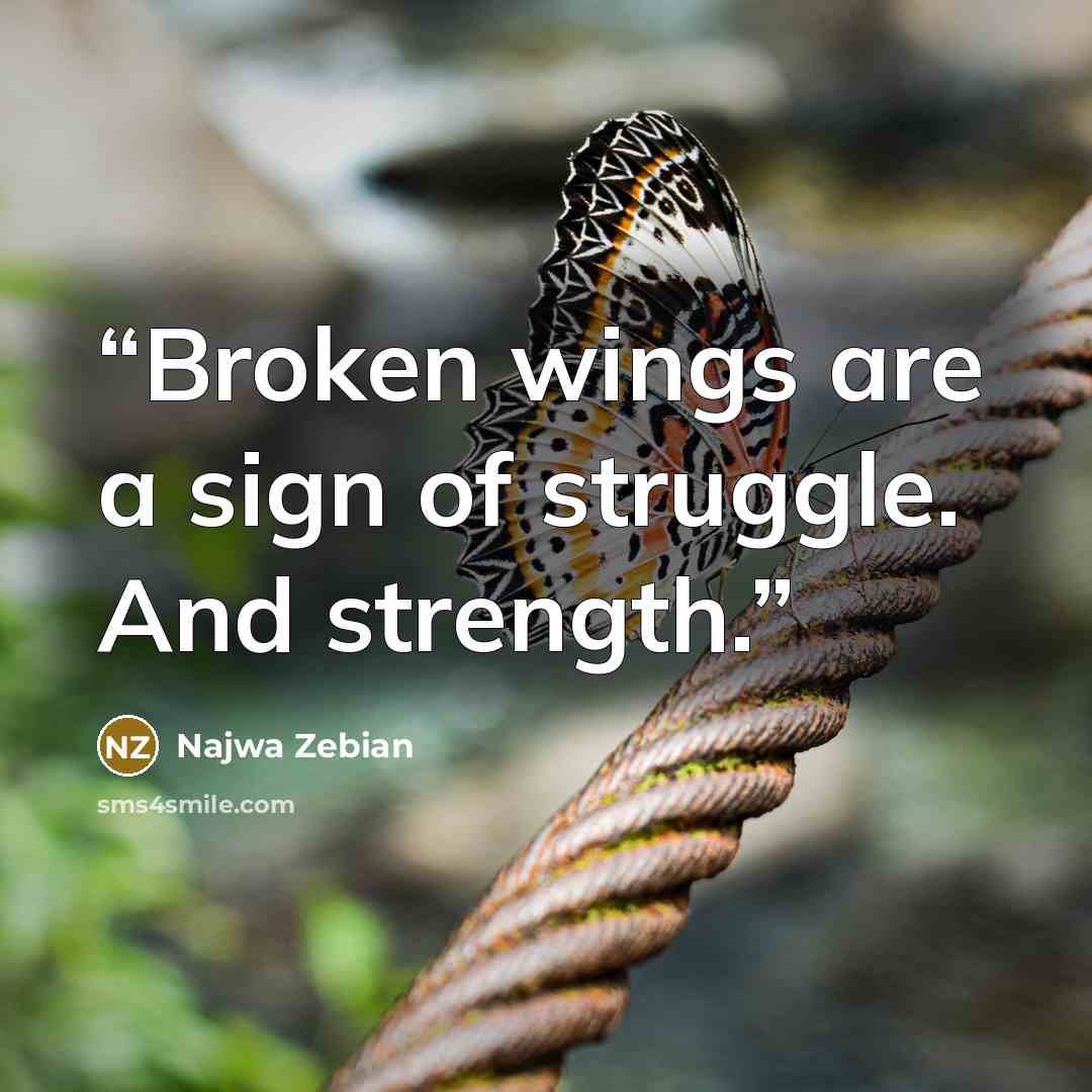 “Broken wings are a sign of struggle. And strength.” quote by Najwa Zebian