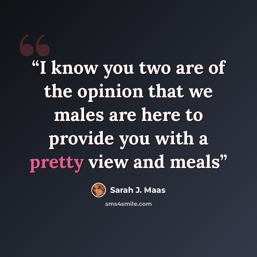 “I know you two are of the opinion that we males are here to provide you with a pretty view and meals” quote by Sarah J. Maas