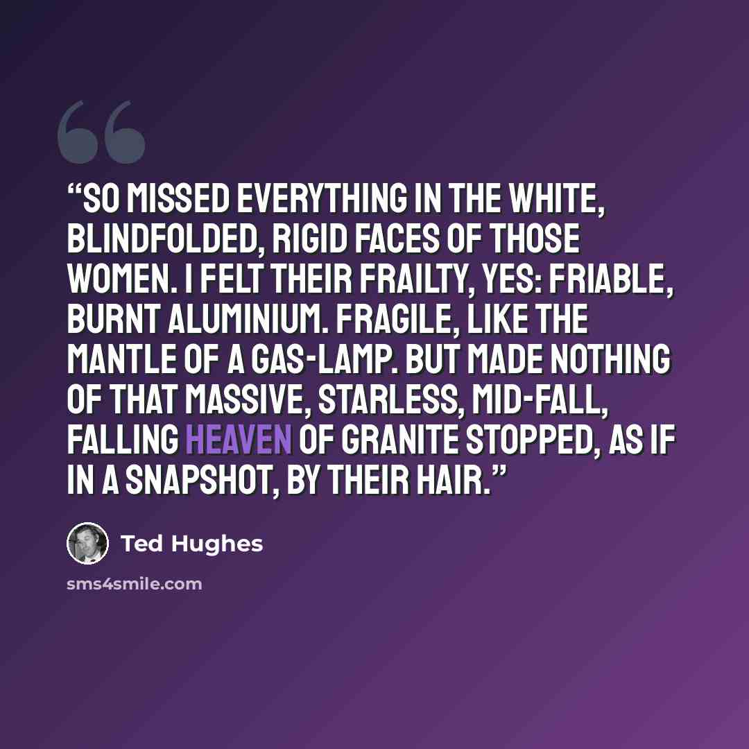 “So missed everything in the white, blindfolded, rigid faces of those women. I felt their frailty, yes: friable, burnt aluminium. Fragile, like the mantle of a gas-lamp. But made nothing of that massive, starless, mid-fall, falling heaven of granite stopped, as if in a snapshot, by their hair.” quote by Ted Hughes