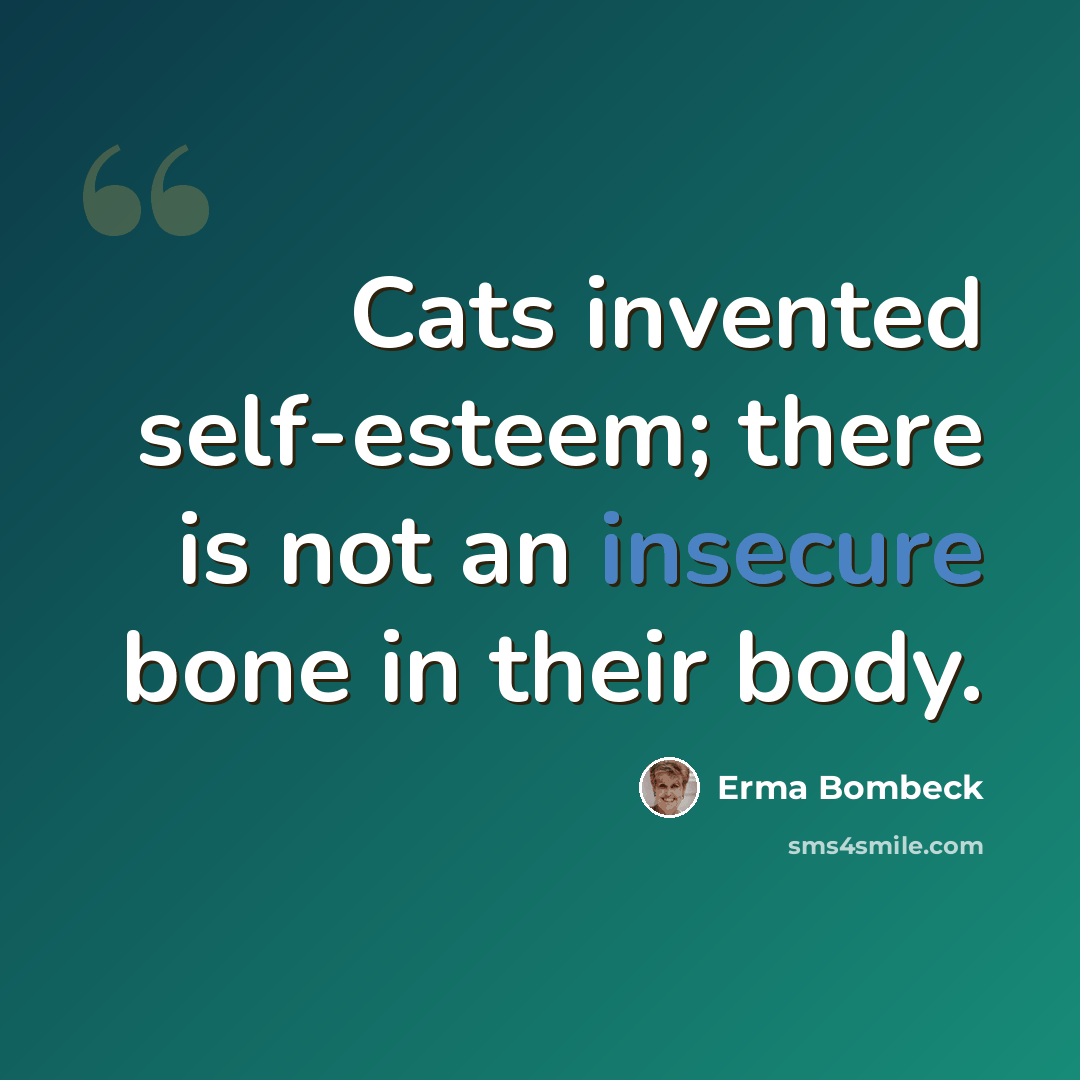 “Cats invented self-esteem; there is not an insecure bone in their body.” quote by Erma Bombeck