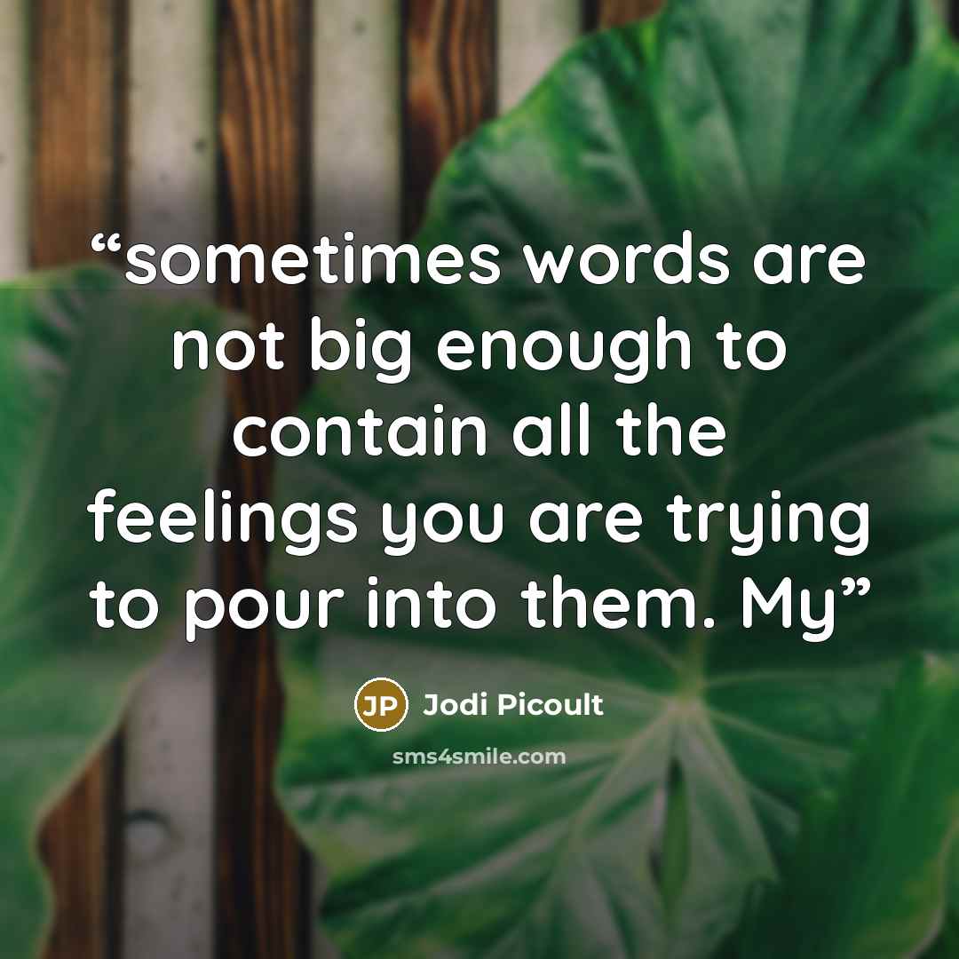“sometimes words are not big enough to contain all the feelings you are trying to pour into them. My” quote by Jodi Picoult