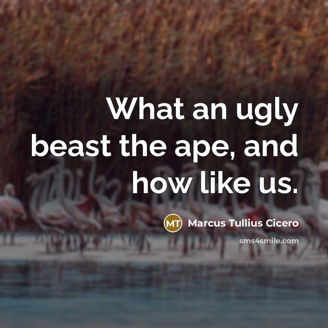 “What an ugly beast the ape, and how like us.” quote by Marcus Tullius Cicero