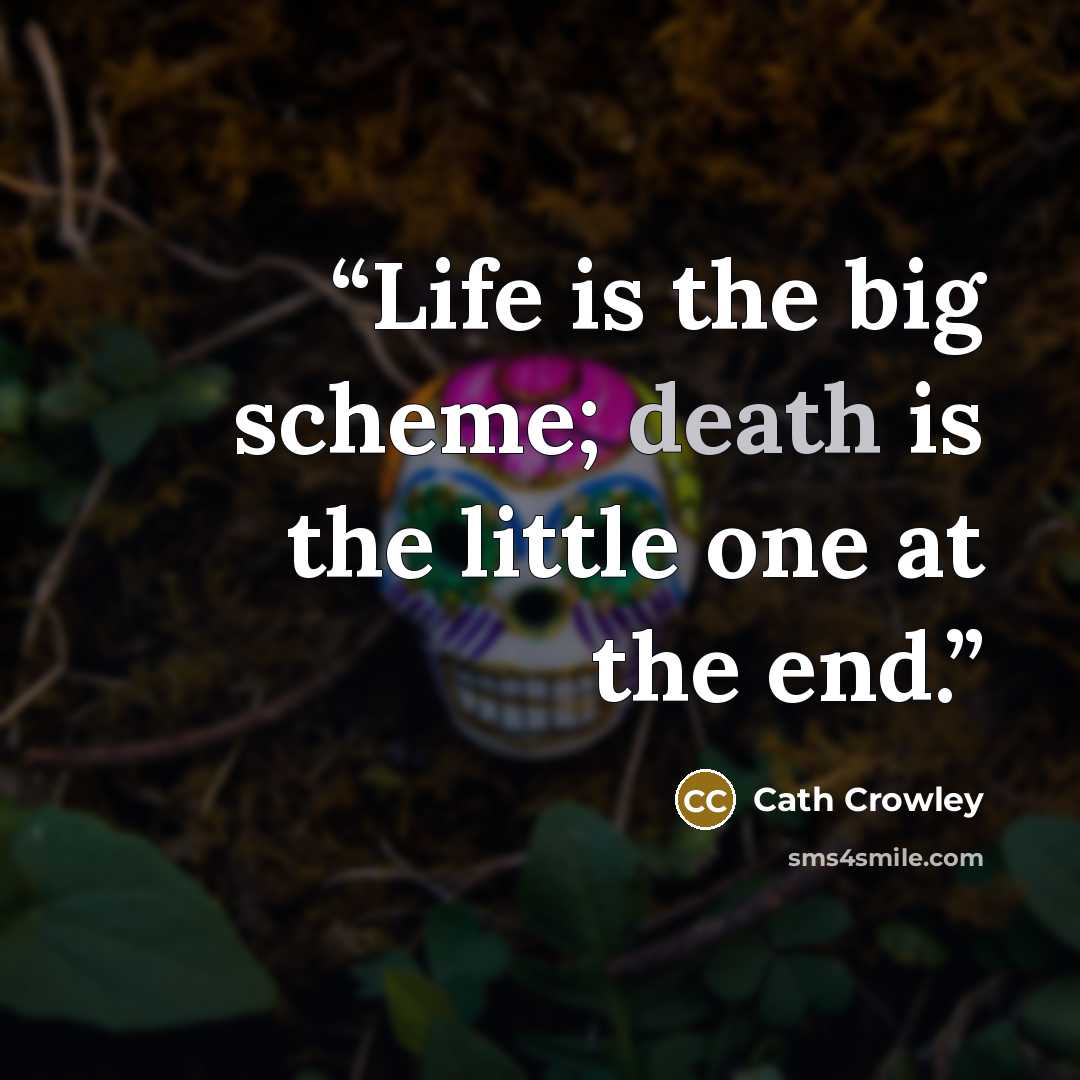 “Life is the big scheme; death is the little one at the end.” quote by Cath Crowley